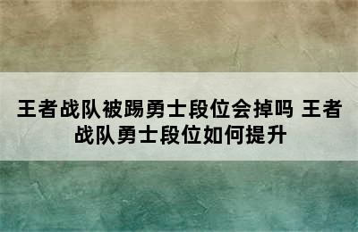 王者战队被踢勇士段位会掉吗 王者战队勇士段位如何提升